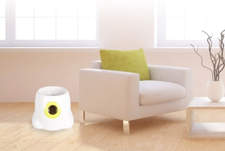 Lanceur de Balles Automatique Chien