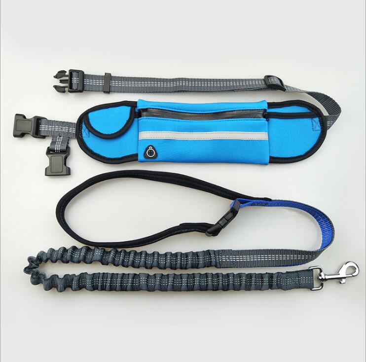 Laisse pour chien mains libres avec ceinture ajustable