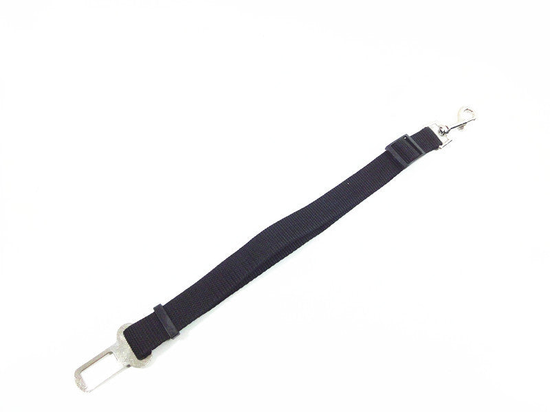 Ceinture de sécurité réglable pour chien