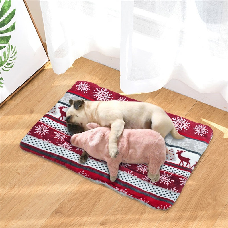 Tapis pour chien
