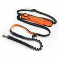 Laisse pour chien mains libres avec ceinture ajustable