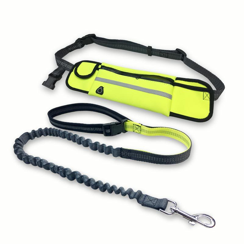 Laisse pour chien mains libres avec ceinture ajustable