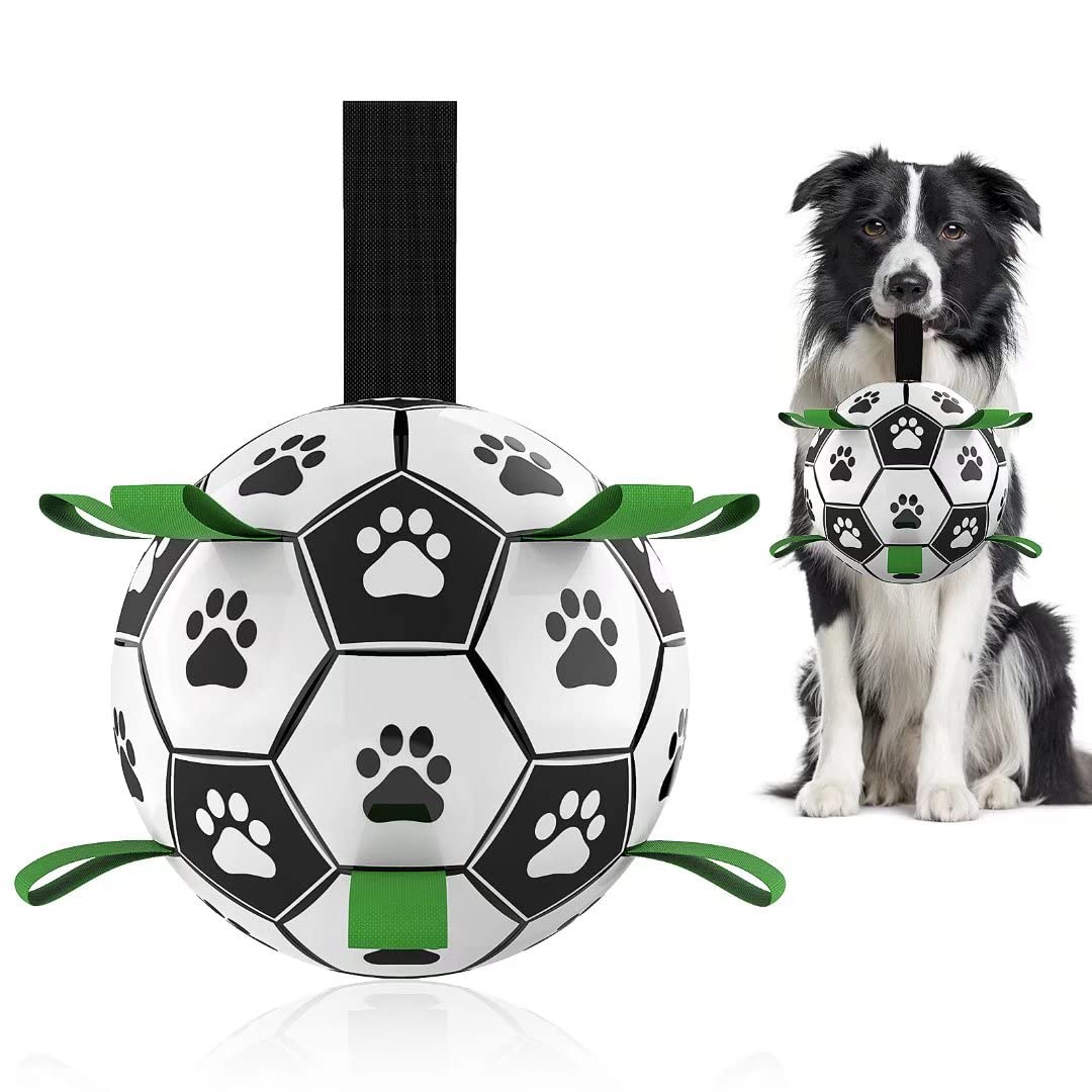 Jouet Football Interactif Chien