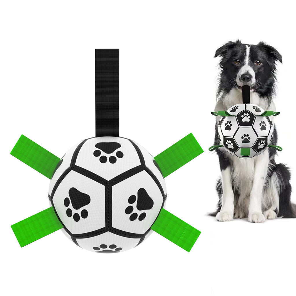 Jouet Football Interactif Chien
