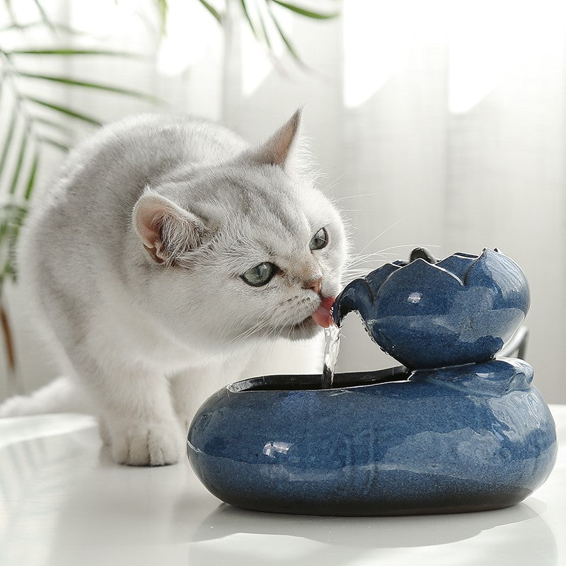 Cat food dispenser, water dispenser 