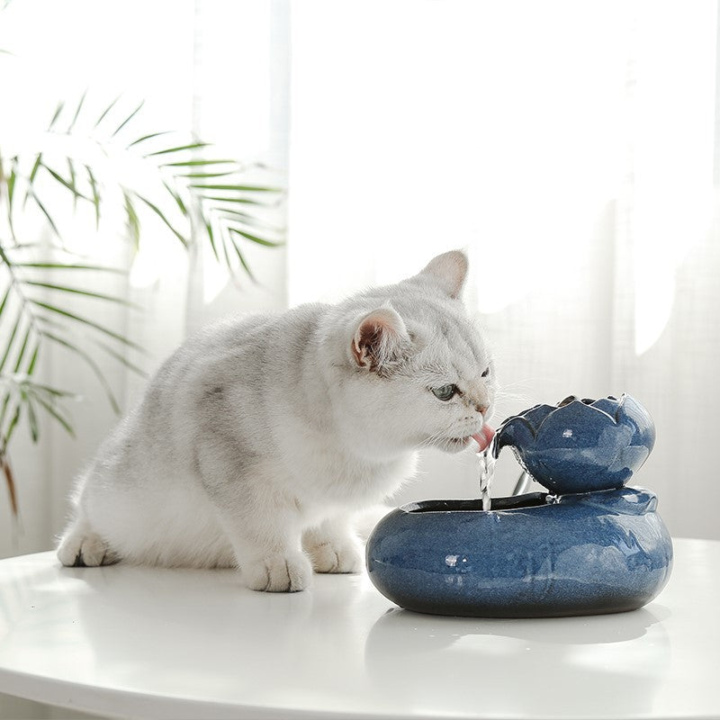 Cat food dispenser, water dispenser 