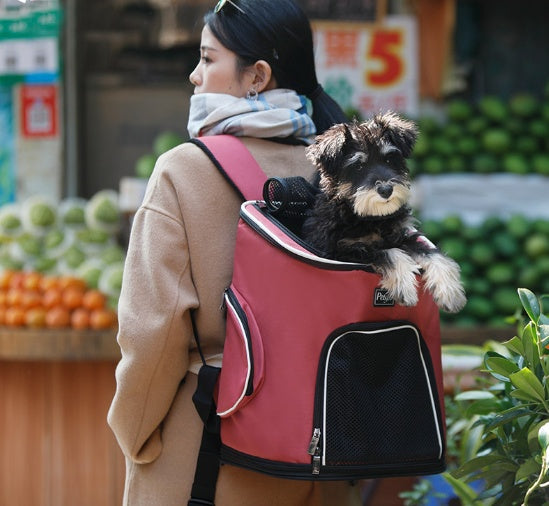 Sac à dos pour chien
