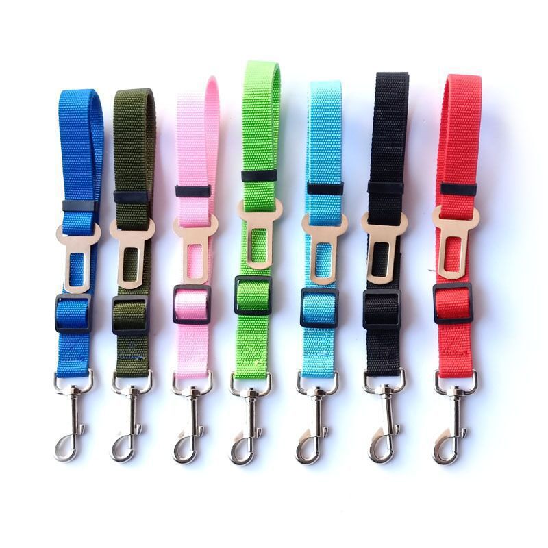 Ceinture de sécurité réglable pour chien