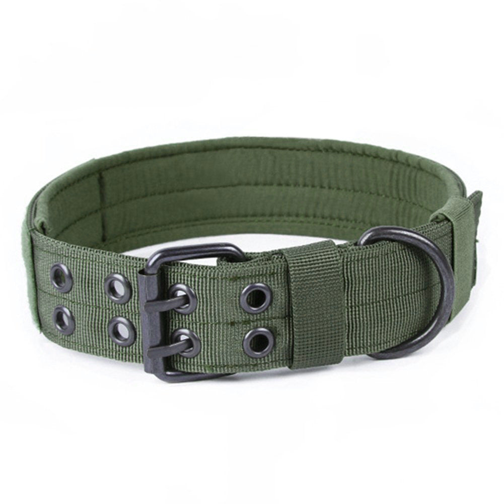 Collier et laisse en nylon anti-grincement pour chien