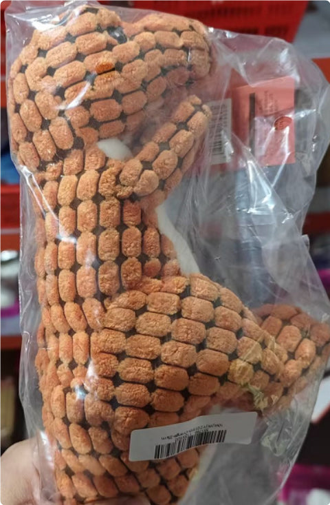 Jouets pour chien dinosaure