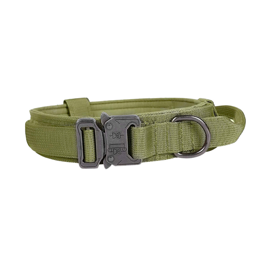 Collier Tactique Militaire Chien