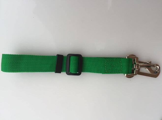 Ceinture de sécurité réglable pour chien