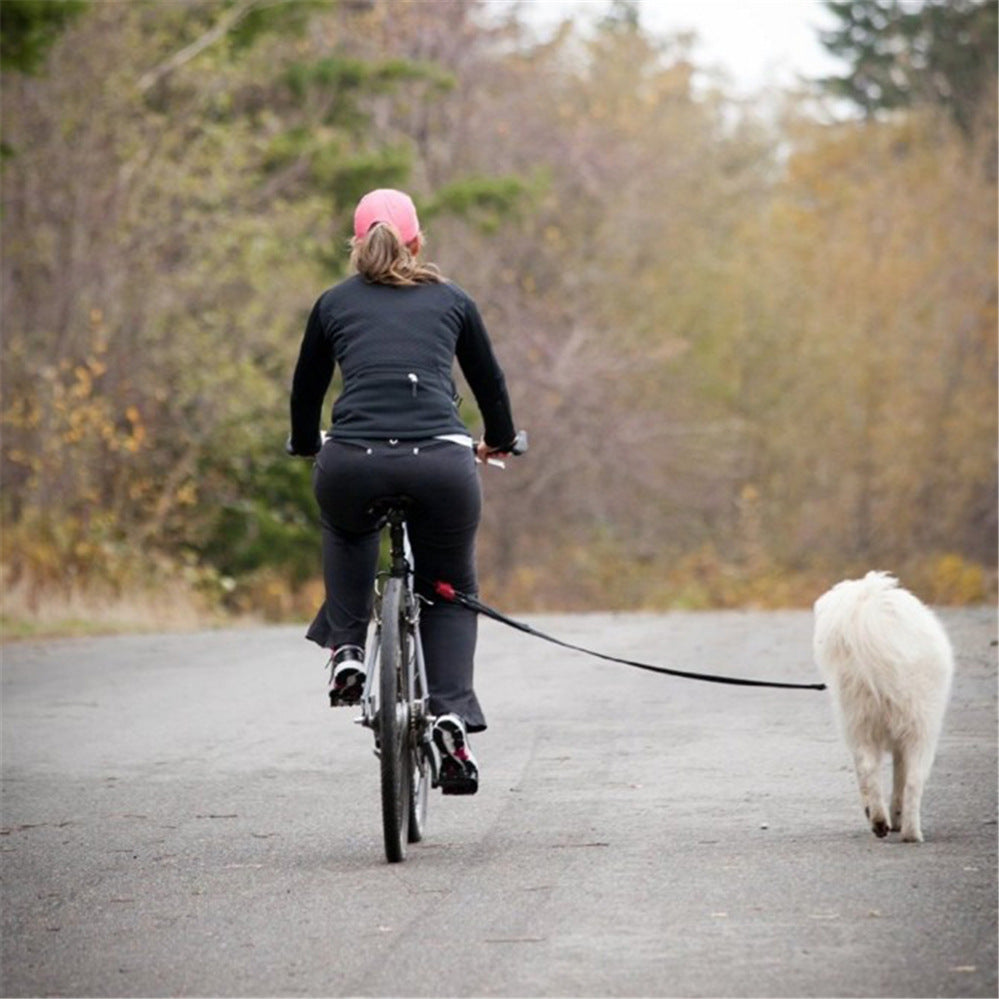 Chaîne de traction pour chien à vélo, laisse détachable, harnais pour chien