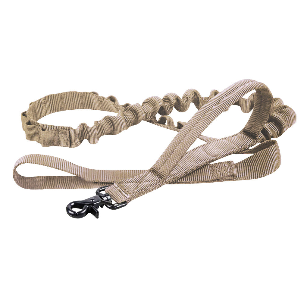 Collier Tactique Militaire Chien