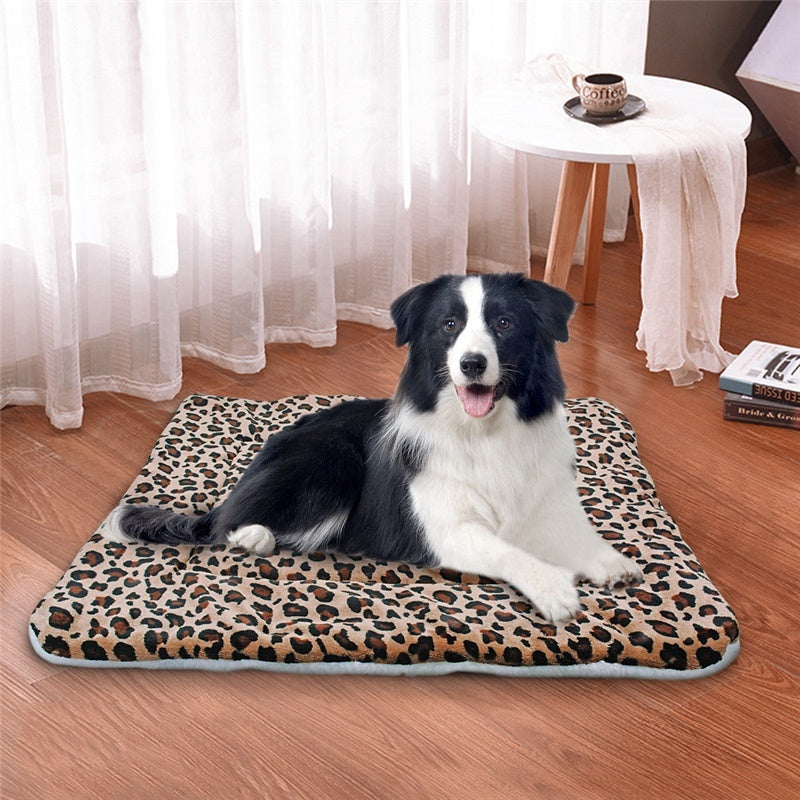 Tapis pour chien