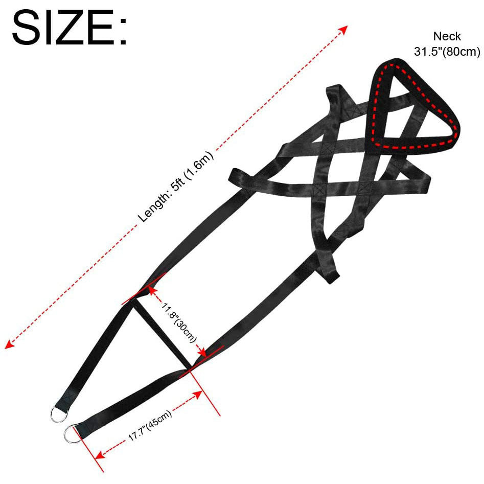 Laisse Harnais d'entrainement