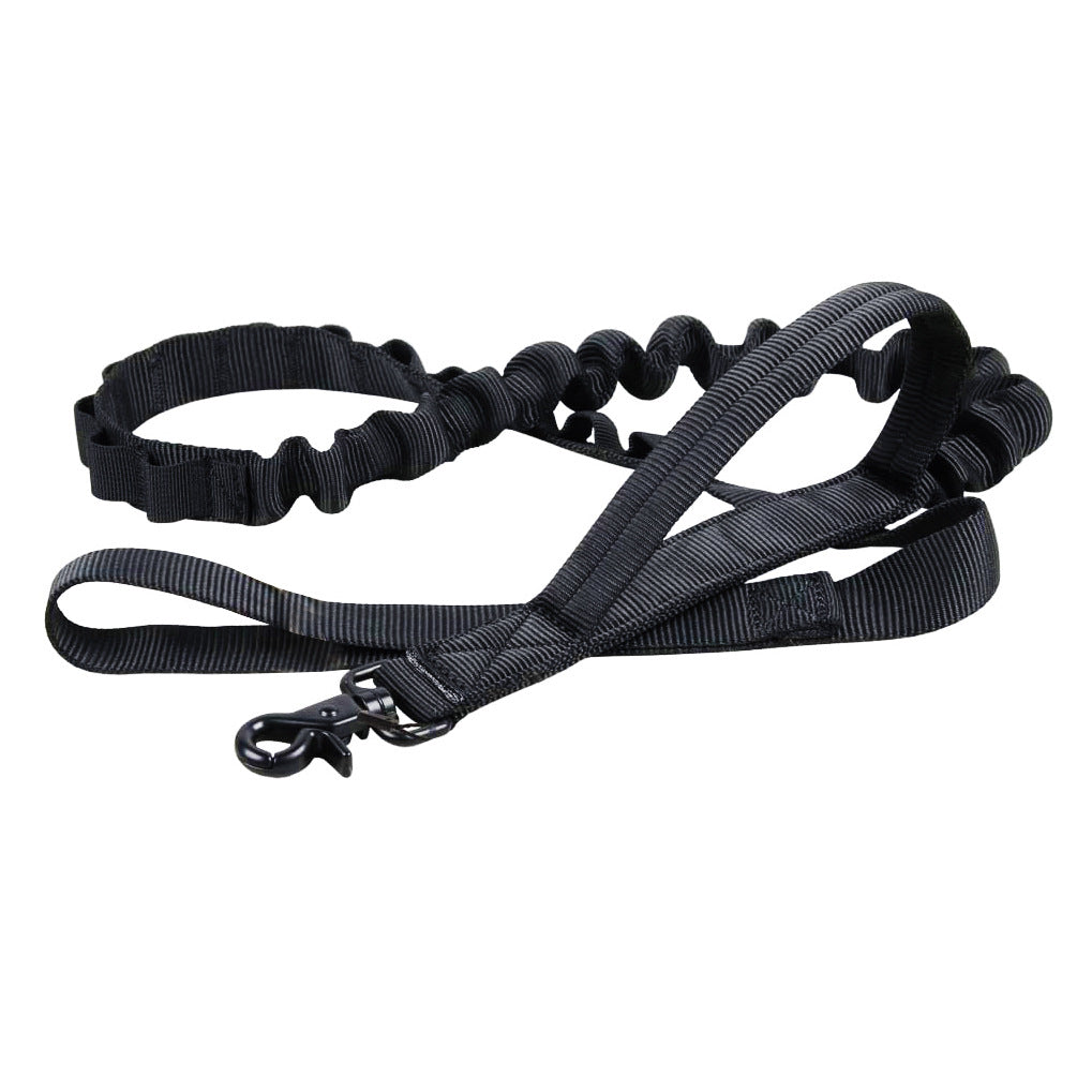 Collier Tactique Militaire Chien