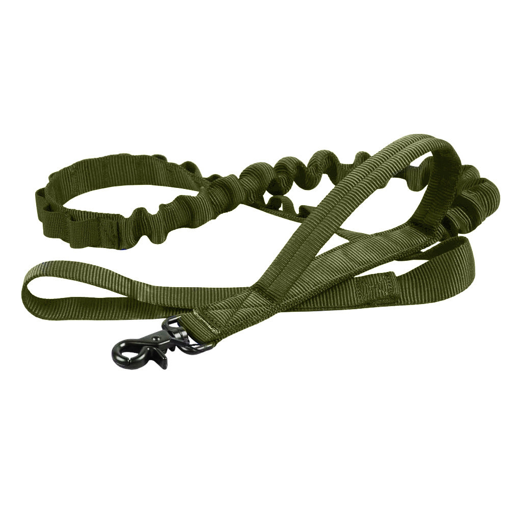 Collier Tactique Militaire Chien