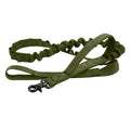 Collier Tactique Militaire Chien