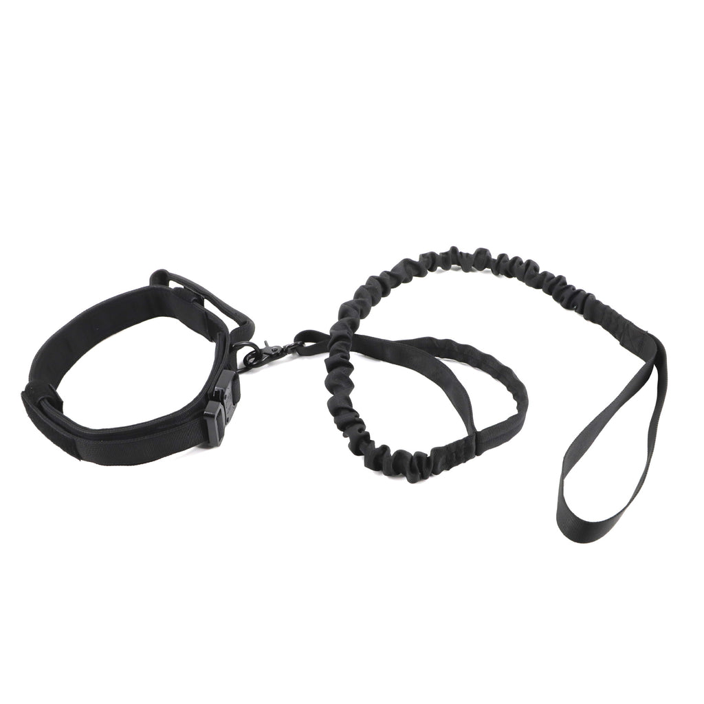 Collier Tactique Militaire Chien