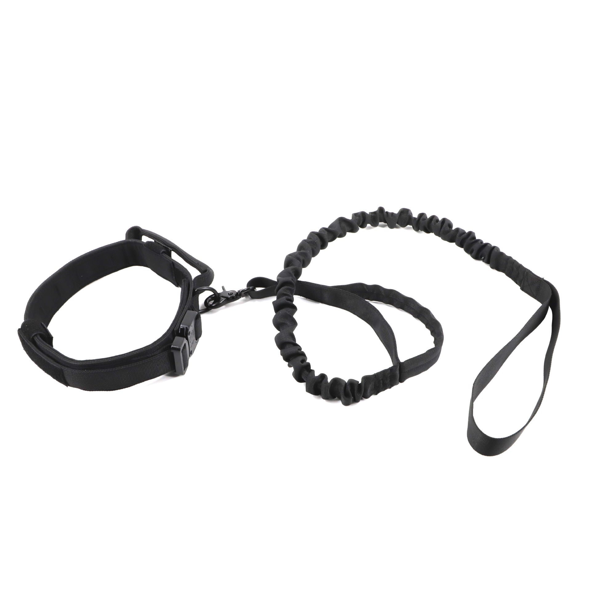 Collier Tactique Militaire Chien