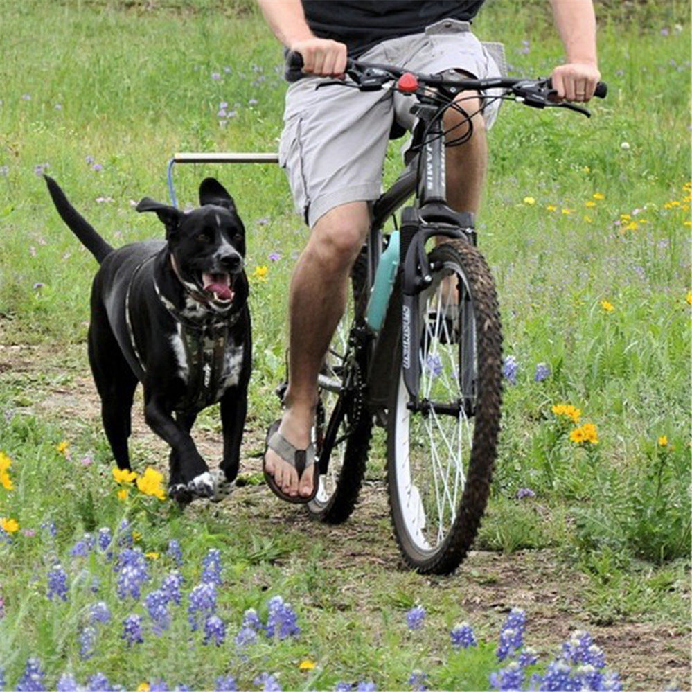 Chaîne de traction pour chien à vélo, laisse détachable, harnais pour chien