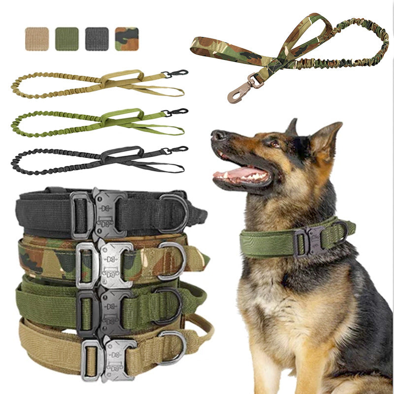 Collier Tactique Militaire Chien
