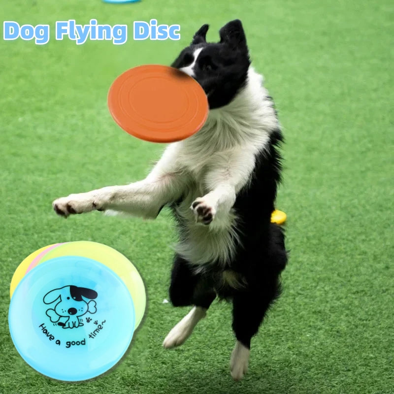 Disque Volant en Silicone pour chiens