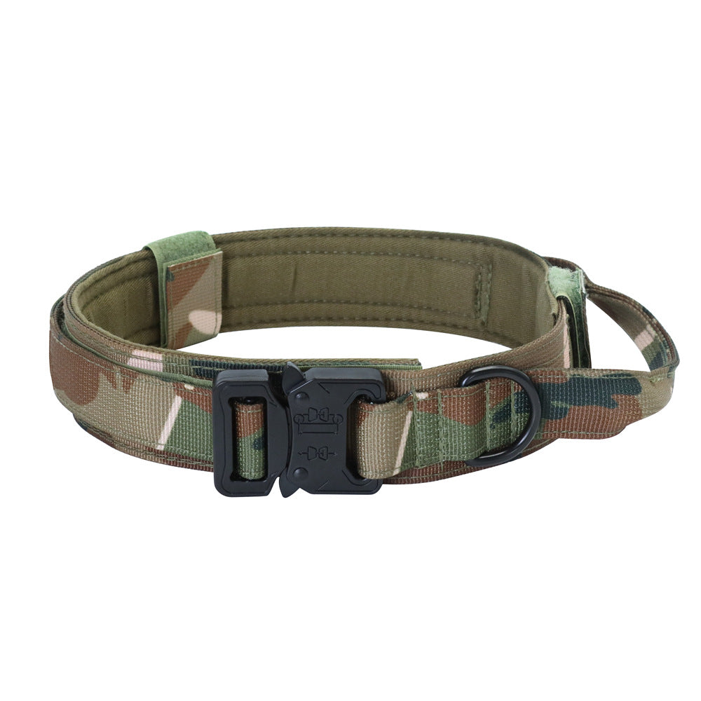 Collier Tactique Militaire Chien